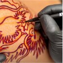 Pack of 5 Kyōdai Firm Tip